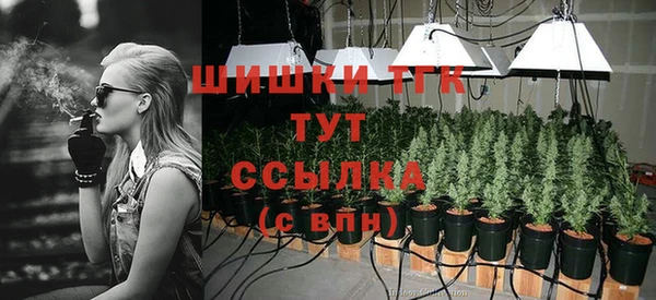 спиды Карталы